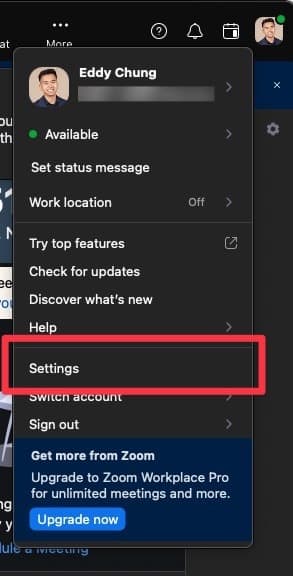 Zoom settings menu